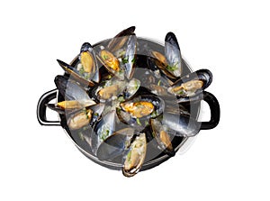 Delicious seafood mussels with parsley sauce and lemon. Delicious steamed mussels