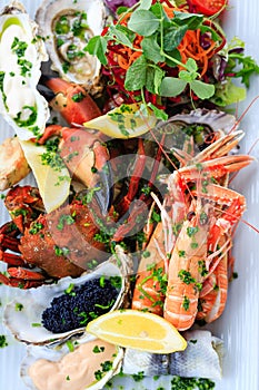 Delicious Seafood Platter from the Isle of Mull photo
