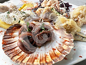 Delicious seafood platter with octopus and assorted shellfish