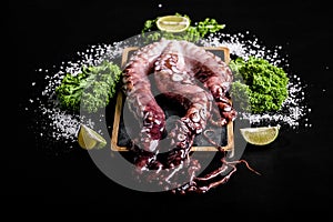 Delicious seafood. Purple octopus tentacles with greens on black background. Horisontal shot. Close-up