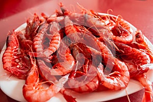 Delicious shrimp dish. Prawn dish. Species called Red Gamba