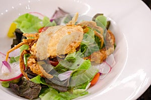 Delicious of soft shell crab salad