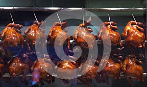 Delicious Soya Sauce Grilled Chickens hung on display in food box at market stall. Traditional Asian Chinese Street Food, Cuisine