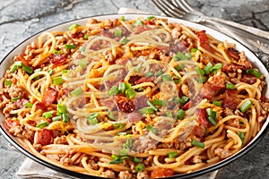 Delicious spaghetti with bacon, minced meat, cheddar cheese, onion and spicy tomato sauce close-up in a plate on the table.