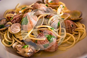 Spaghetti with mussels Vongole photo