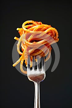 Delicious Spaghetti Pasta Twirled on Fork Against Dark Background photo