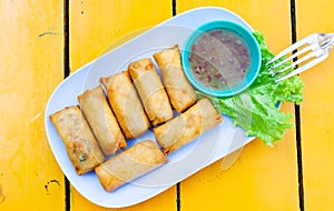 delicious spring rolls on a yellow table - happy meal