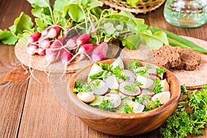 Delicious spring vegetable salad from cucumber, radish, egg