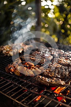 Delicious steak and ribs on a charcoal grill outdoors