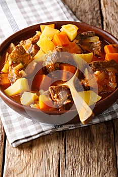 delicious stew estofado with beef and vegetables close-up. vertical photo