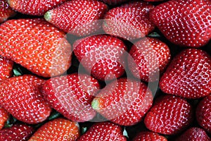 delicious strawberries fresh fruits natural seeds dessert red photo