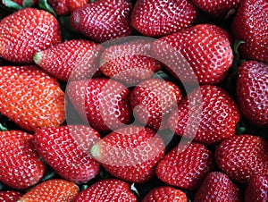 delicious strawberries fresh fruits natural seeds dessert red photo