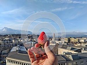 Delicious strawberry held in a hand with city background and bright blue sky.