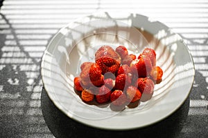 Delicious strawberry in a plate in sunlight.