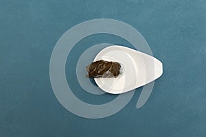 Delicious stuffed grape leaves traditional doom Mediterranean cuisine Dolma in white gravy boat. Top view. Blue background with