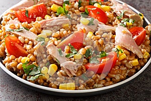 Delicious summer spelt salad with tuna, tomatoes and corn close-up in a plate. Horizontal