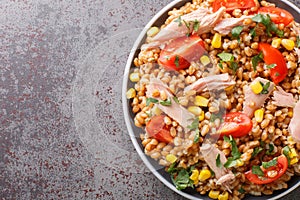 Delicious summer spelt salad with tuna, tomatoes and corn close-up in a plate. Horizontal top view