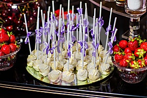 Delicious sweet buffet with plate of white chocolate pralines