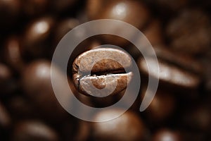 Delicious and sweet coffee aroma and flavorful coffee beans