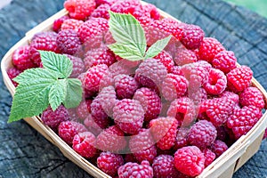 Delicious sweet raspberry in a little wooden basket, on textured