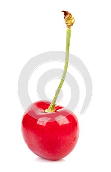 Delicious sweet and ripe red cherry