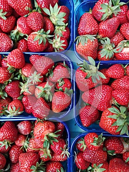Ecologically Farmed Strawberries in Plastic Packages photo