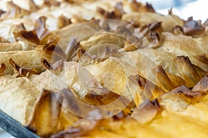 Delicious Tentugal tarts from Coimbra, Portugal