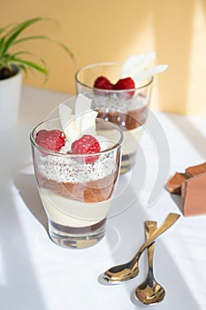 Delicious three-layer mousse, vanilla, chocolate, creme brulee dessert in a glass in the bright rays of the sun. Nearby