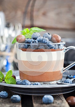 Delicious three layered chocolate mousse dessert, devorated wit