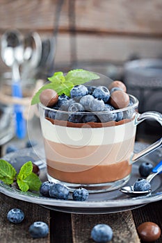 Delicious three layered chocolate mousse dessert, devorated wit