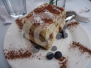 Delicious Tiramisu cake with blueberry. photo