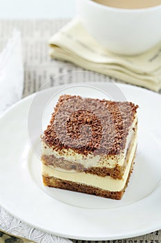 Delicious tiramisu dessert