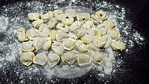 Delicious tortellini a ring-shaped pasta from Italy. Traditionally they are stuffed with a mix of meat, parmigiano reggiano cheese