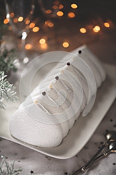 Delicious traditional frozen french Christmas cake