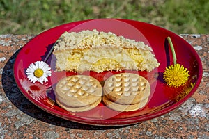 The delicious traditional Italian dessert called mimosa with biscuits on a red ceramic plate and two flowers