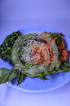 Delicious traditional mix vegetables with coconut from java called urap urab or kluban photo