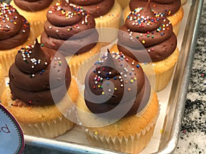 Delicious Vanilla Cupcake with Chocolate Frosting from Cupcake Down South in Columbia, SC