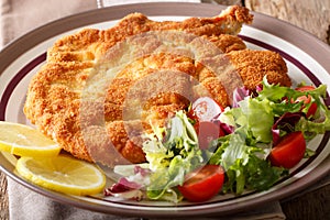 Delicious veal cutlet Milanese with lemon and fresh vegetable sa