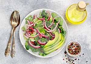 Delicious vegetarian light salad of lettuce, radicchio, red onion and avocado