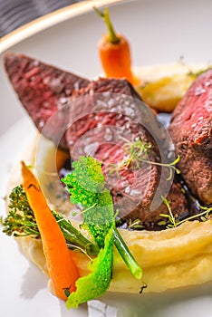 Delicious venison steak with potatoes mash and vegetables on white plate, product photography for exclusive restaurant