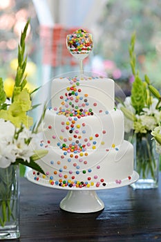 Delicious wedding cake