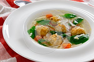 Delicious wedding soup with meatball, carrots and spinach