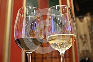 Delicious white and red wines in fragrant glasses tasty reflections photo