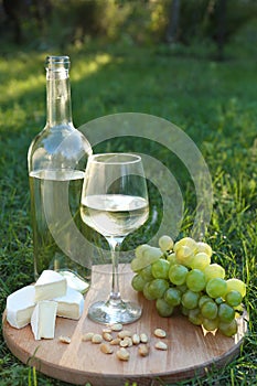 Delicious white wine, grapes, cheese and nuts on green grass outdoors