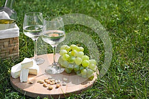 Delicious white wine, grapes, cheese and nuts on green grass outdoors. Space for text