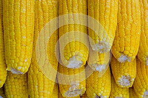 Delicious yellow corn