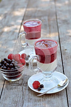 Delicious yogurt with fresh and juicy raspberry and blackcurrant in glasses near vase on wooden texture