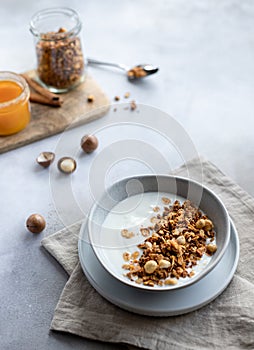 Delicious yogurt with granola, nuts and honey in a bowl. healthy breakfast, snack.