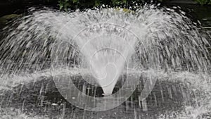Delight in the tranquil beauty of a park fountain as it features a graceful water jet performance.