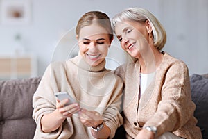 Delighted adult and aged women smiling and browsing social media on smartphone while resting on couch at home